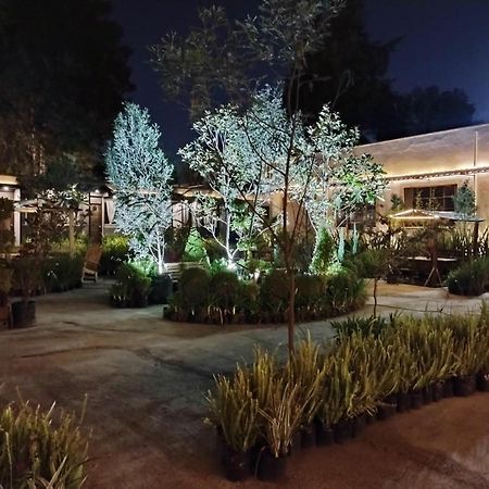 Utopia Hotel Boutique Ciudad de México Exterior foto